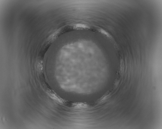 X0000078290621200611172124