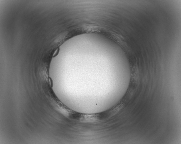 X0000078290622200611172124