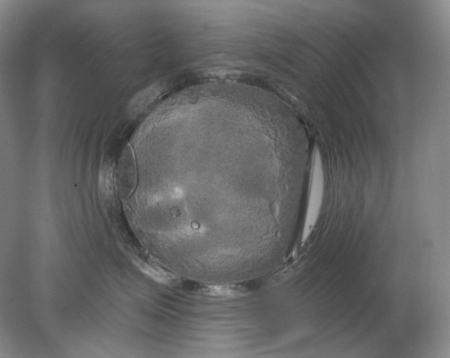 X0000078290623200611172124