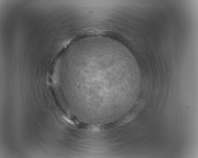 X0000078290624200611172124