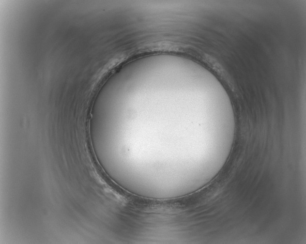 X0000078290625200611172123