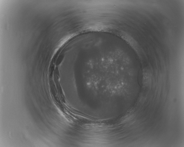 X0000078290626200611172123