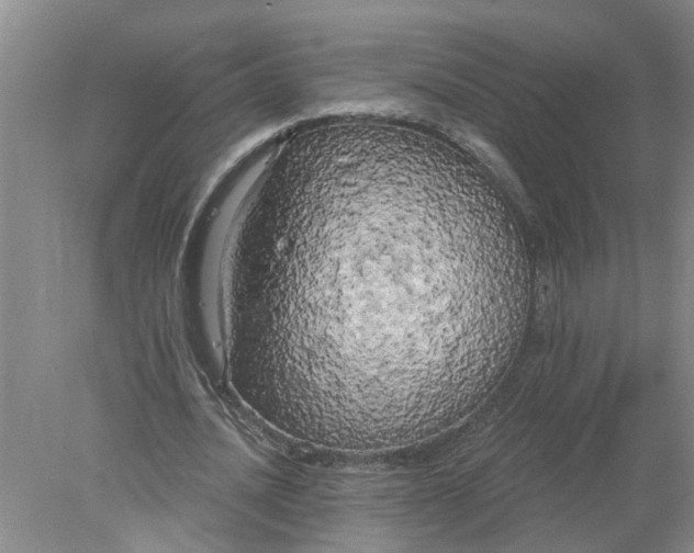 X0000078290628200611172123