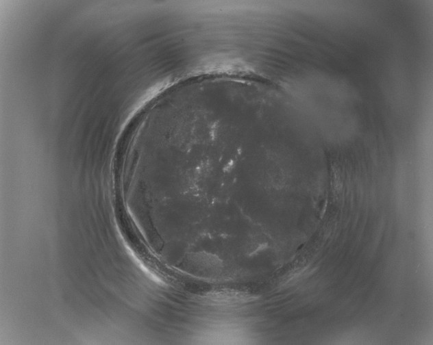 X0000078290630200611172123