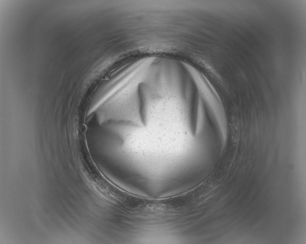 X0000078290631200611172123