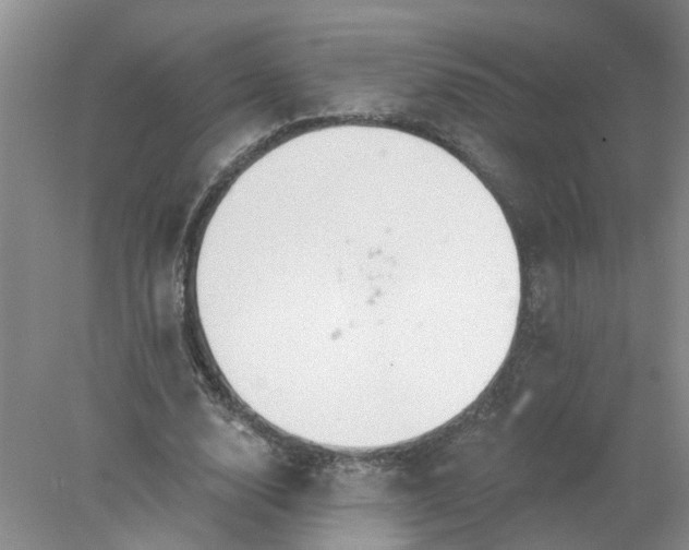 X0000078290632200611172123