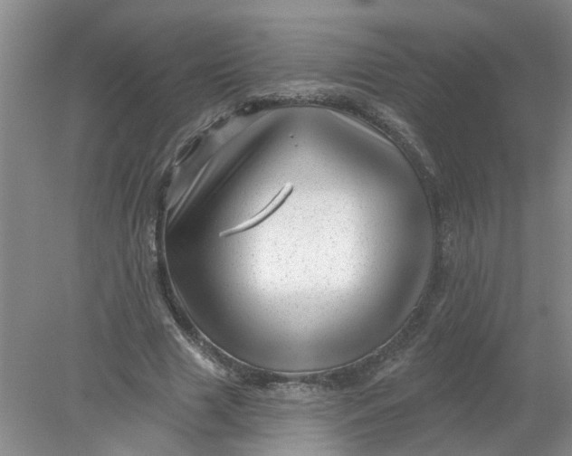 X0000078290633200611172123