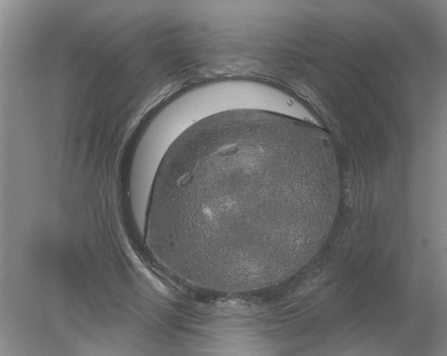 X0000078290634200611172123