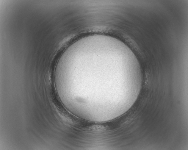 X0000078290636200611172123