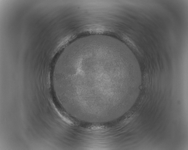 X0000078290638200611172123