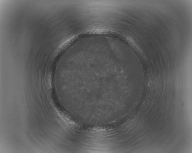 X0000078290640200611172123