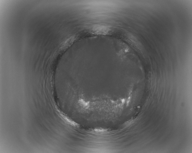 X0000078290641200611172123