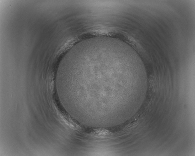 X0000078290642200611172123