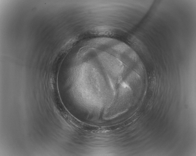 X0000078290643200611172123