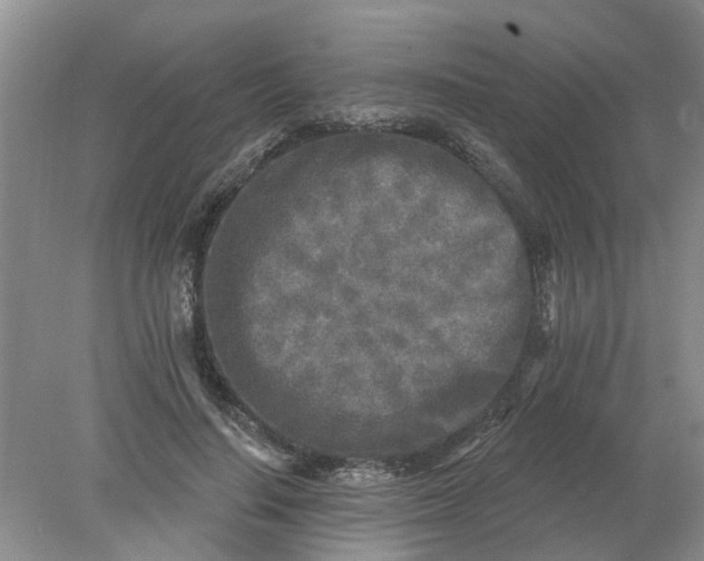 X0000078290644200611172123