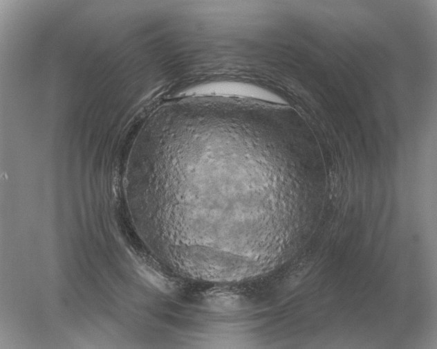 X0000078290648200611172123