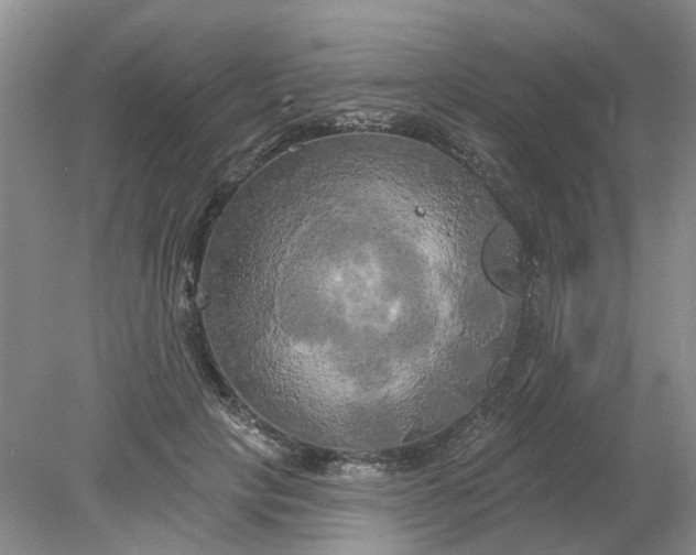 X0000078290649200611172123