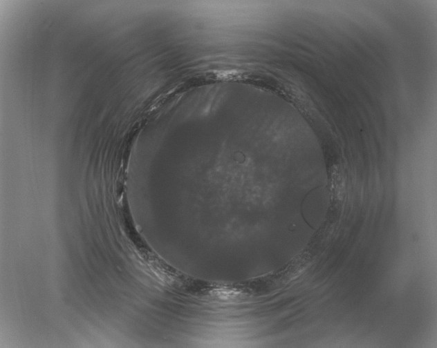 X0000078290650200611172123