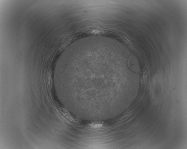 X0000078290651200611172123