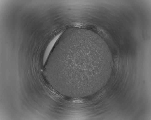 X0000078290653200611172123