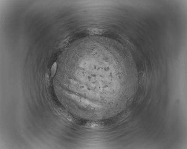 X0000078290655200611172124