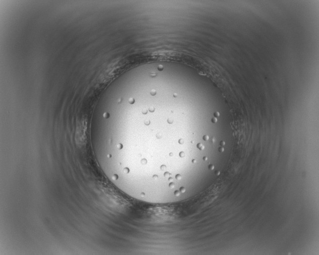 X0000078290660200611172124