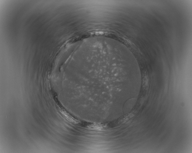 X0000078290661200611172124