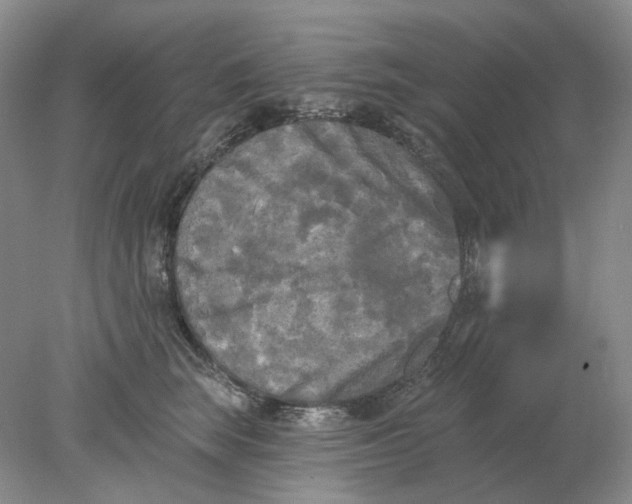 X0000078290663200611172124