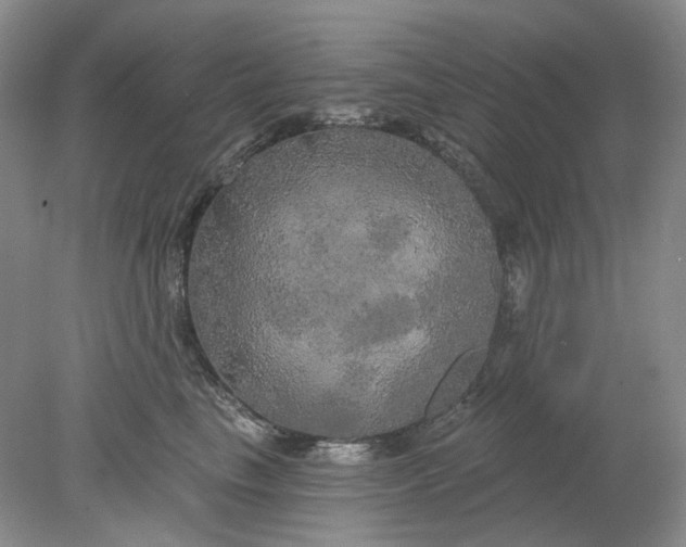 X0000078290665200611172124