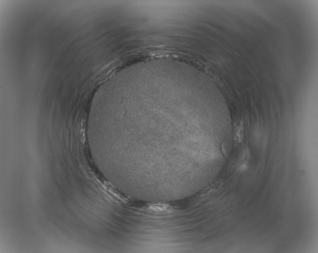 X0000078290666200611172124