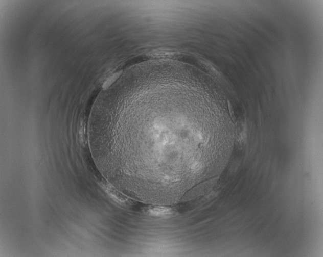 X0000078290669200611172124