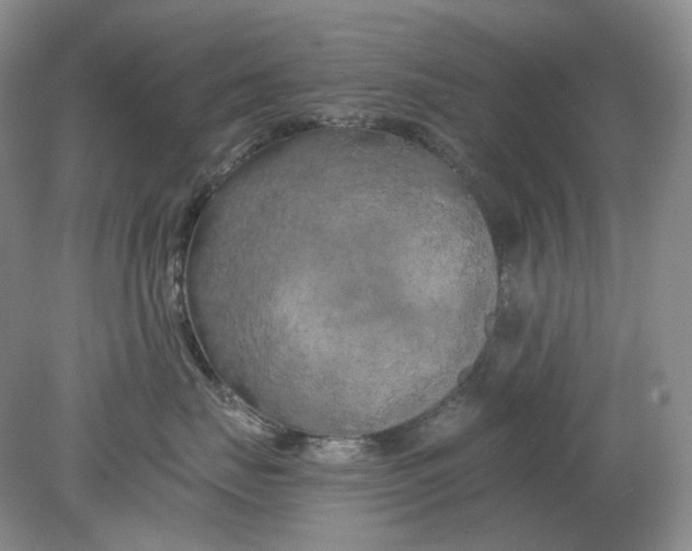 X0000078290671200611172124