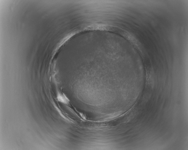 X0000078290674200611172123