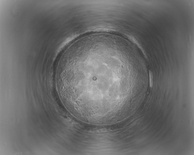 X0000078290675200611172123