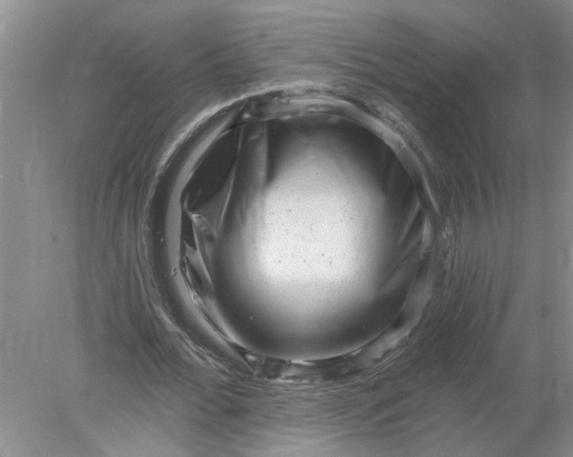 X0000078290676200611172123