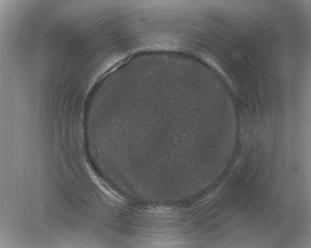 X0000078290677200611172123