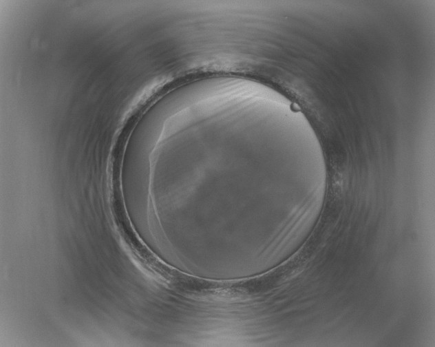 X0000078290678200611172123