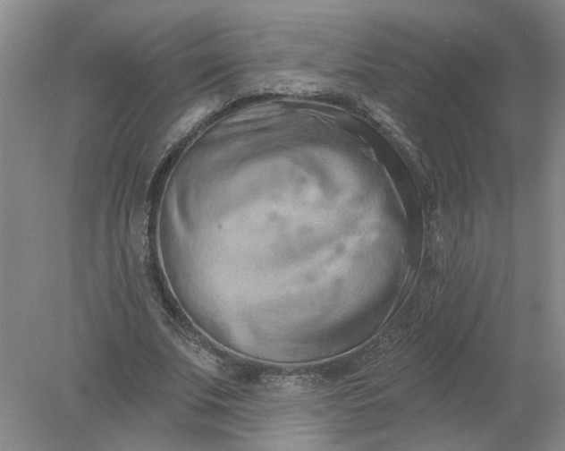 X0000078290679200611172123