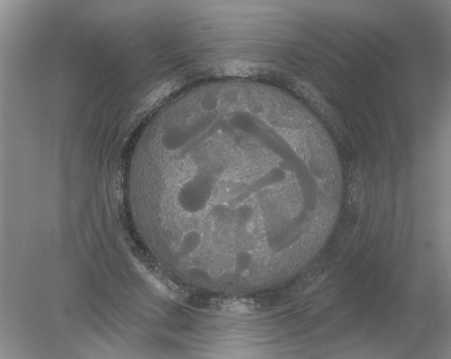 X0000078290683200611172123