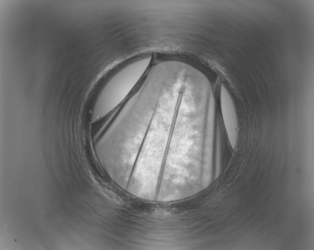 X0000078290684200611172123