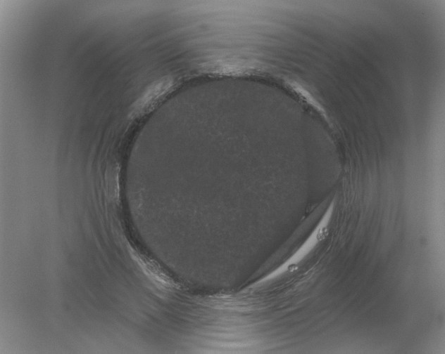 X0000078290685200611172123