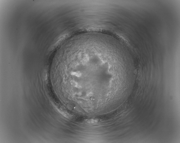 X0000078290687200611172123