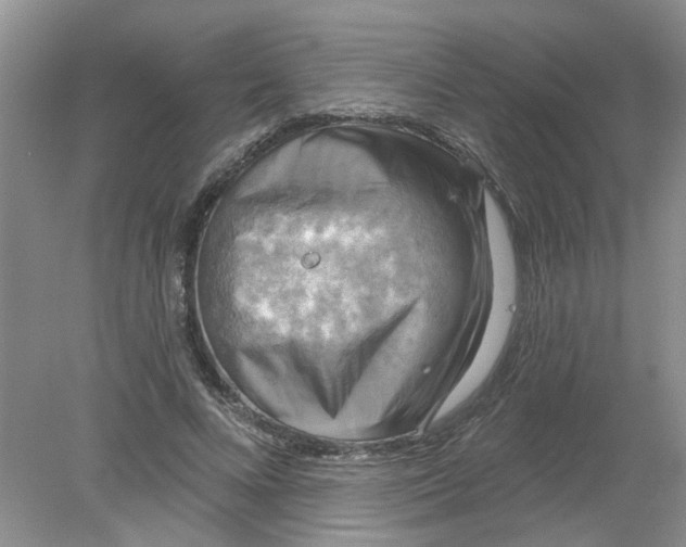 X0000078290688200611172123