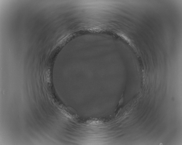 X0000078290689200611172123