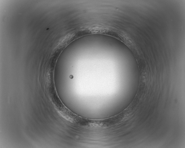 X0000078290690200611172123