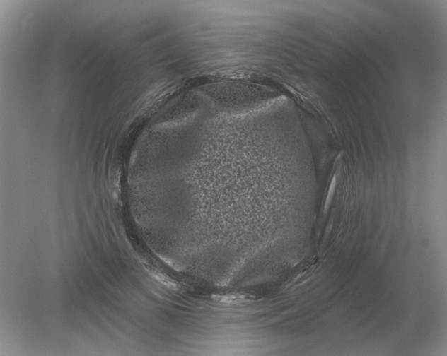 X0000078290693200611172123