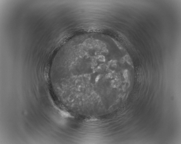 X0000078290695200611172123