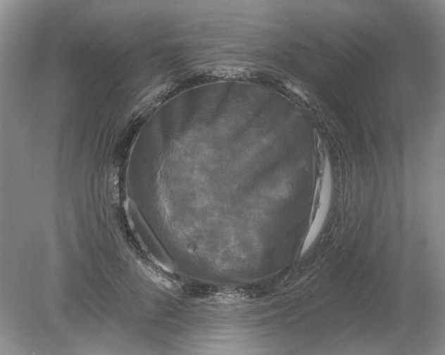 X0000078290696200611172123