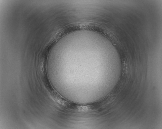 X0000078290698200611172123