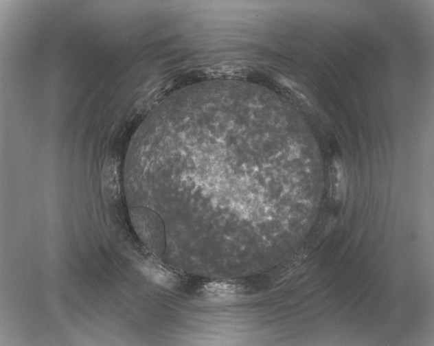 X0000078290699200611172123